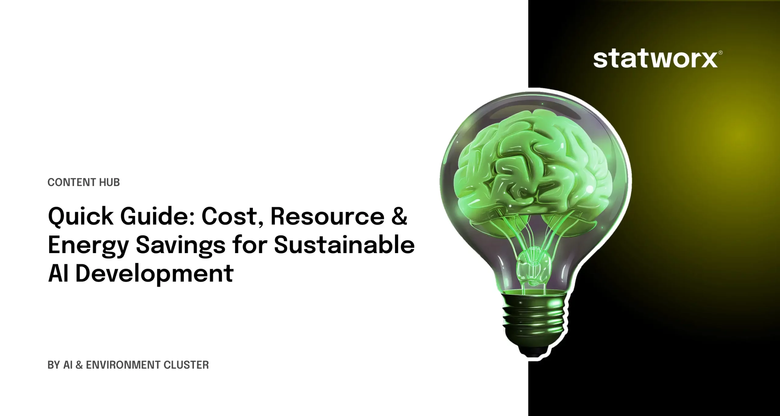 Quick Guide: Cost, Resource & Energy Savings for Sustainable AI Development